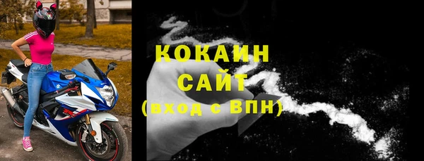 крисы Богородицк