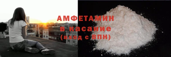 крисы Богородицк