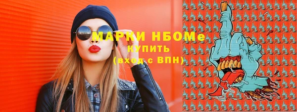 крисы Богородицк
