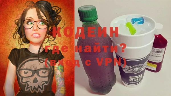 крисы Богородицк