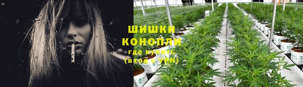 крисы Богородицк